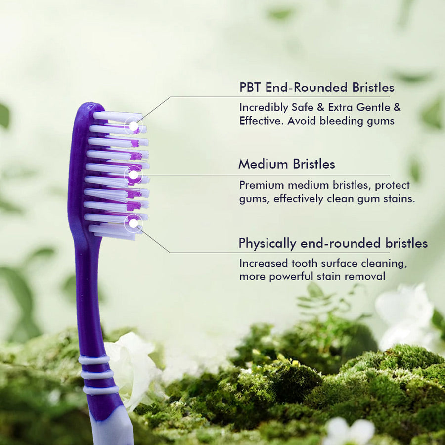 OLEMOL Flat-trim Toothbrush Medium Bristle Pack of 12 - Toothbrush for Deep Cleaning
