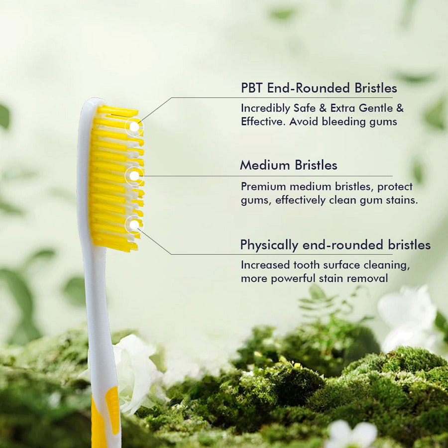 OLEMOL Flat-trim Toothbrush Medium Bristle Pack of 3 - Toothbrush for Deep Cleaning - KH07