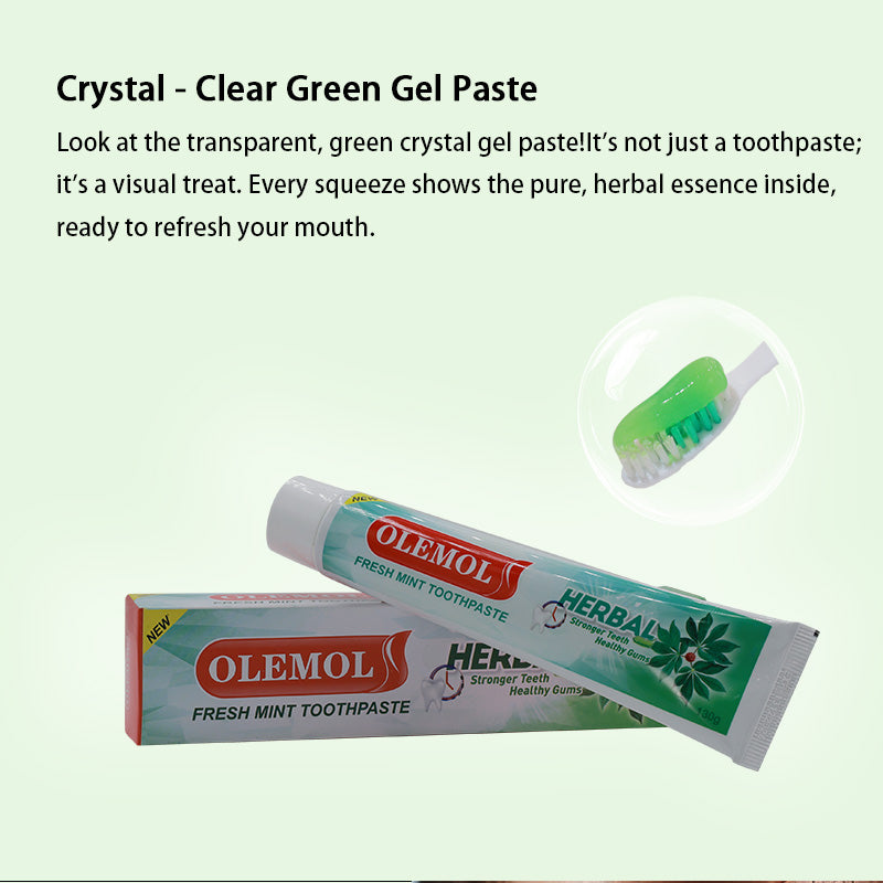 ELEMOL Herbal Fresh Mint Toothpaste 175G