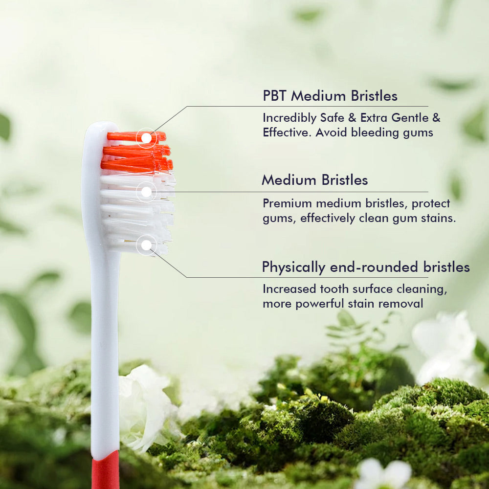 OLEMOL Flat-trim Kids Toothbrush Medium Bristle Pack of 12 - Toothbrush for Deep Cleaning