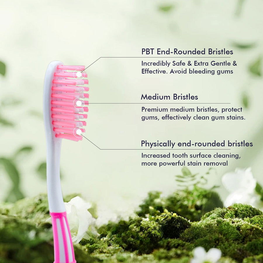 OLEMOL Flat-trim Toothbrush Medium Bristle Pack of 12 - Toothbrush for Deep Cleaning-KH03